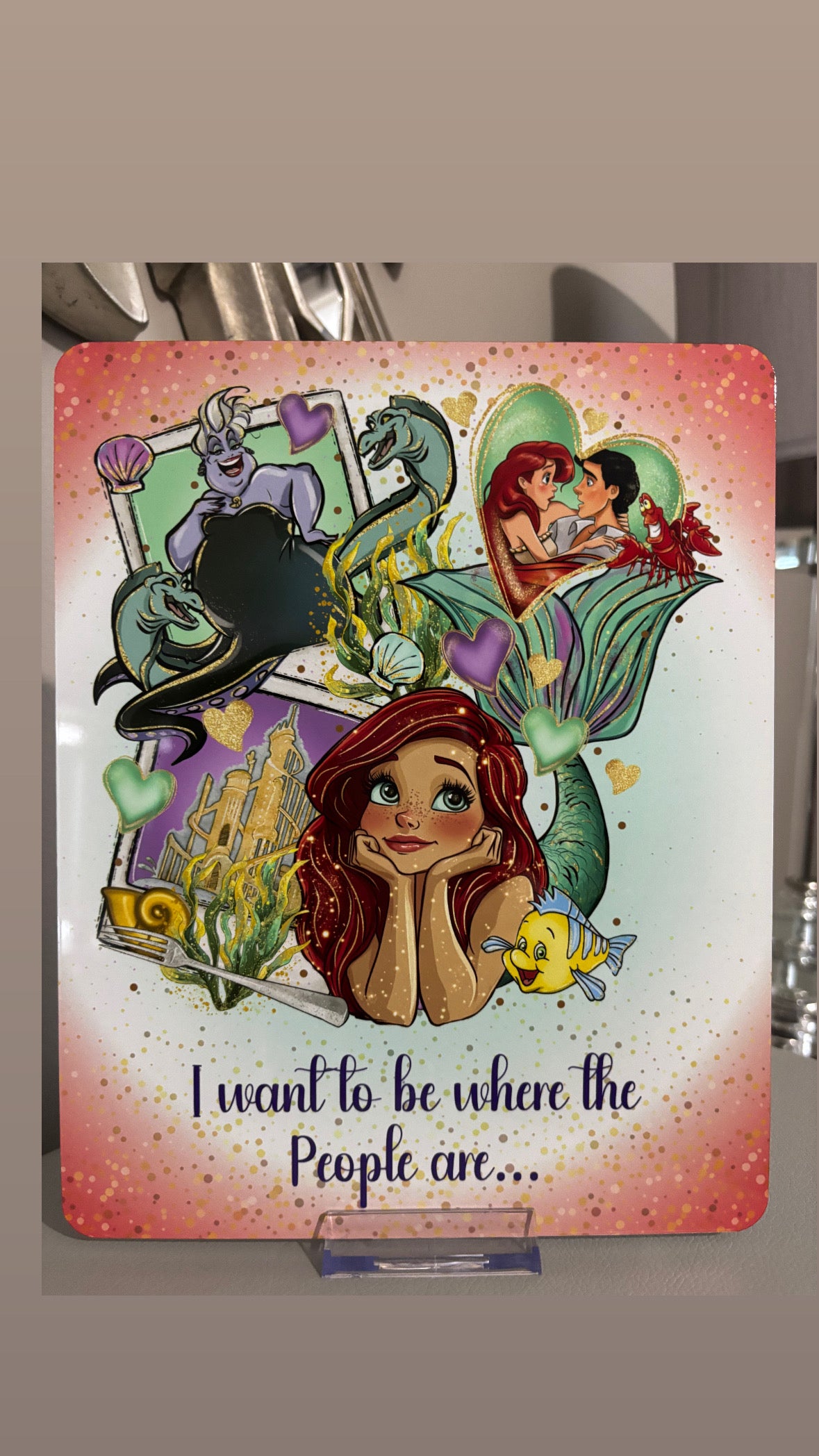 Princess & Friends Metal Frame