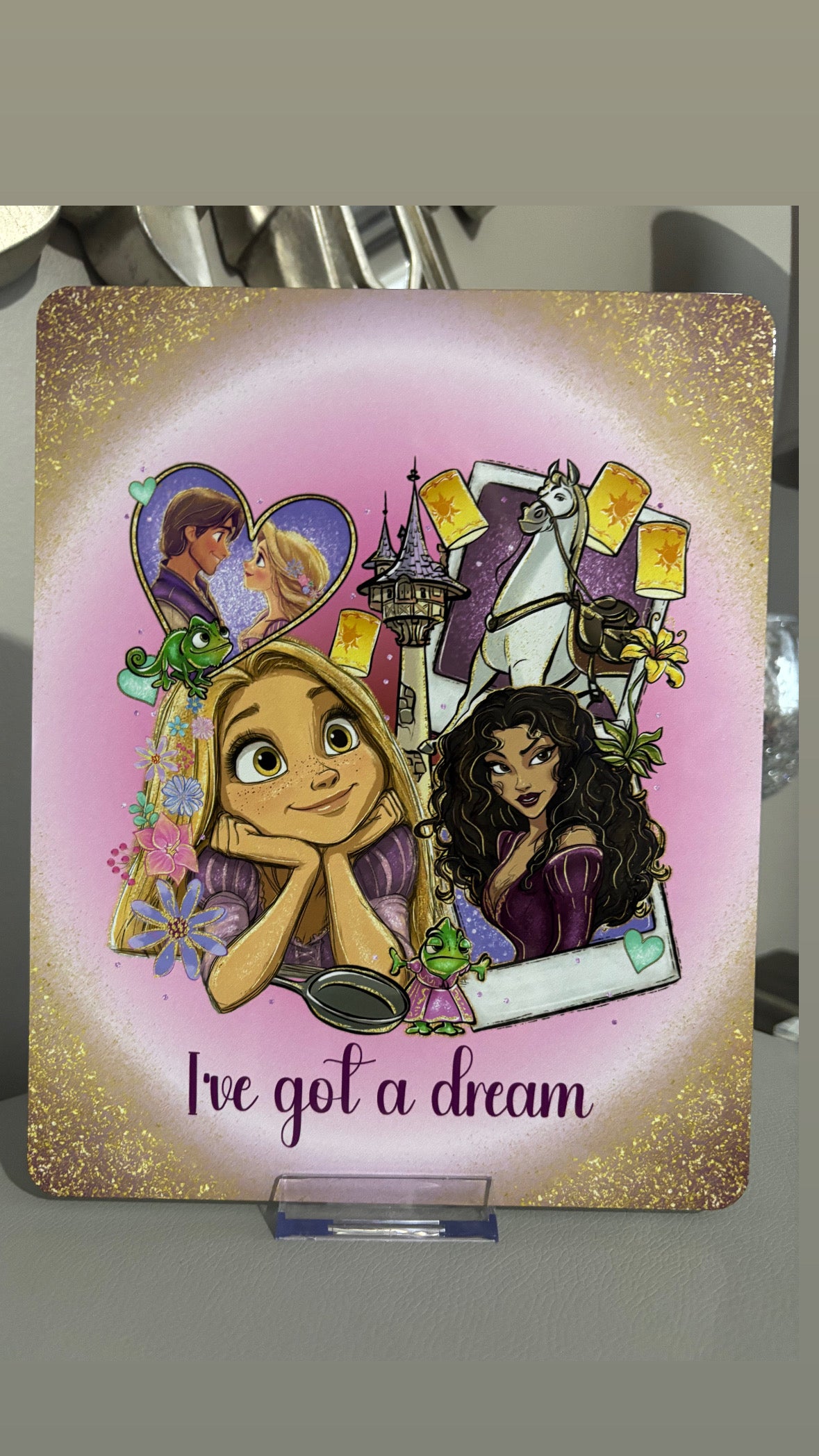Princess & Friends Metal Frame