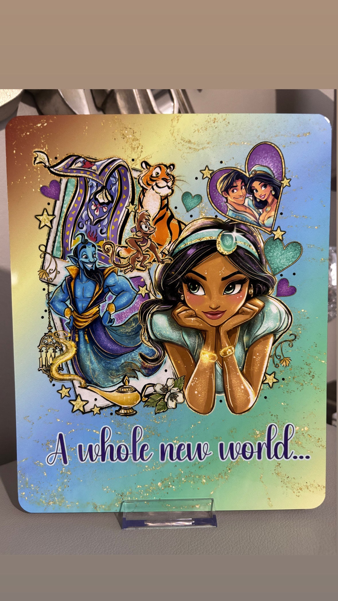 Princess & Friends Metal Frame